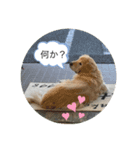 ベックとサブ（個別スタンプ：5）
