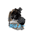レオの記録2（個別スタンプ：6）