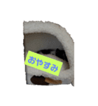 レオの記録2（個別スタンプ：8）
