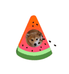 inari_tok（個別スタンプ：16）