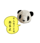 パンダがしゃべる優しいあいづち。（個別スタンプ：3）