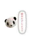パンダがしゃべる優しいあいづち。（個別スタンプ：34）