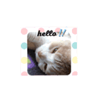 のんびりライカくん（個別スタンプ：1）