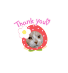 のんびりライカくん（個別スタンプ：8）