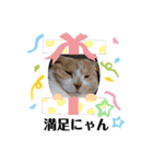 のんびりライカくん2（個別スタンプ：9）