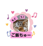 ハムスタンプ Ver．1（個別スタンプ：3）