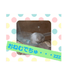 ハムスタンプ Ver．1（個別スタンプ：4）