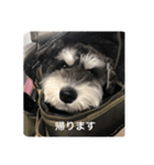 イトです！（個別スタンプ：5）