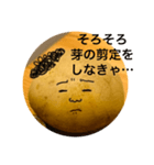 いも弁2（個別スタンプ：12）