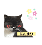 私欲にまみれたぽこた（個別スタンプ：1）