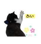 私欲にまみれたぽこた（個別スタンプ：3）