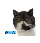 私欲にまみれたぽこた（個別スタンプ：9）