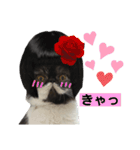 私欲にまみれたぽこた（個別スタンプ：18）