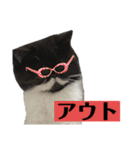 私欲にまみれたぽこた（個別スタンプ：19）