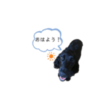 表情豊かなエマちゃんの日常（個別スタンプ：1）