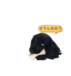 表情豊かなエマちゃんの日常（個別スタンプ：5）