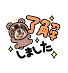 チョコタンチワワのありい（個別スタンプ：1）