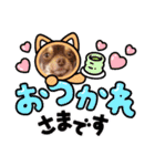 チョコタンチワワのありい（個別スタンプ：3）