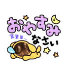 チョコタンチワワのありい（個別スタンプ：5）