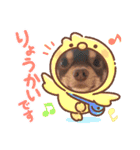 チョコタンチワワのありい（個別スタンプ：19）