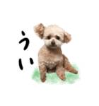 くるた＆ぺろ（個別スタンプ：4）