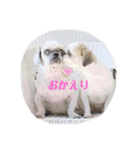 らまえたち（個別スタンプ：5）
