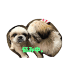 らまえたち（個別スタンプ：7）
