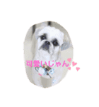 らまえたち（個別スタンプ：11）