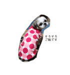 らまえたち（個別スタンプ：12）
