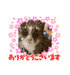 みーとろスタンプ（個別スタンプ：7）