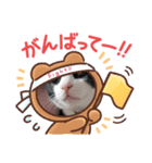 愛ネコあいさつでかもじありスタンプ（個別スタンプ：4）