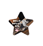 ちっちこスタンプ（個別スタンプ：4）