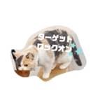 ちっちこスタンプ（個別スタンプ：5）
