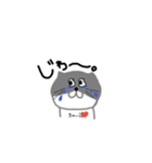 たぬきとアザラシ（個別スタンプ：1）