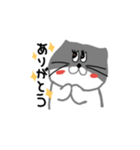 たぬきとアザラシ（個別スタンプ：5）