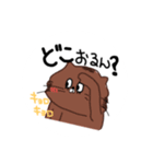 たぬきとアザラシ（個別スタンプ：6）