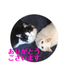 小梅と小鉄。ときどき…（個別スタンプ：1）