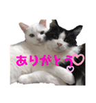 小梅と小鉄。ときどき…（個別スタンプ：2）