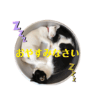 小梅と小鉄。ときどき…（個別スタンプ：6）