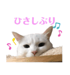 小梅と小鉄。ときどき…（個別スタンプ：8）