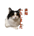 小梅と小鉄。ときどき…（個別スタンプ：9）