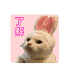 小梅と小鉄。ときどき…（個別スタンプ：10）