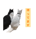 小梅と小鉄。ときどき…（個別スタンプ：19）