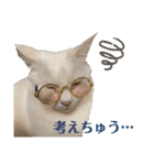 小梅と小鉄。ときどき…（個別スタンプ：28）