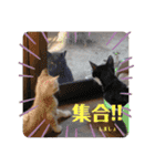 小梅と小鉄。ときどき…（個別スタンプ：31）