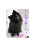 テンシンさゆり⑦（個別スタンプ：6）