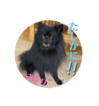 テンシンさゆり⑦（個別スタンプ：7）