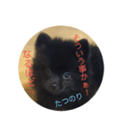 たつのり⑤（個別スタンプ：5）