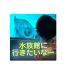 れおぴすけ（個別スタンプ：5）