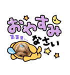 ヨーキーのマナちゃん②（個別スタンプ：5）